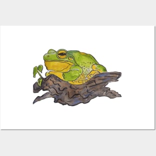 Beautiful chunky frog print Posters and Art